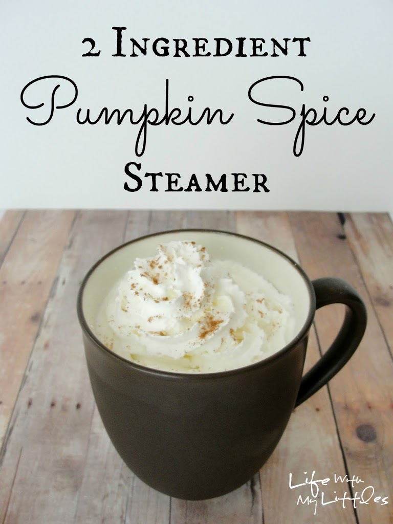 2 Ingredient Hot Pumpkin Spice Steamer: A delicious fall drink that is easy and warms you right up!