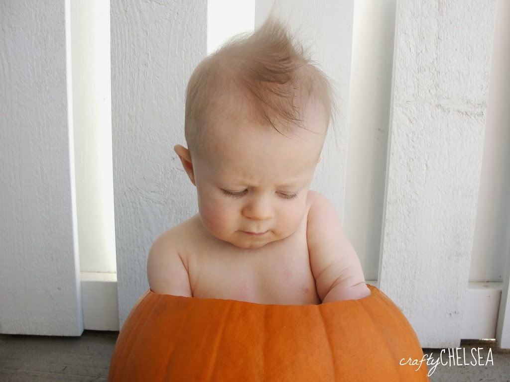 How to Take a Good Picture of Your Baby in a Pumpkin: Tips that will really help make it easy!