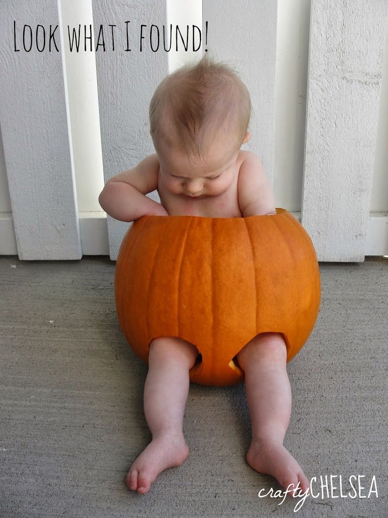 How to Take a Good Picture of Your Baby in a Pumpkin: Tips that will really help make it easy!