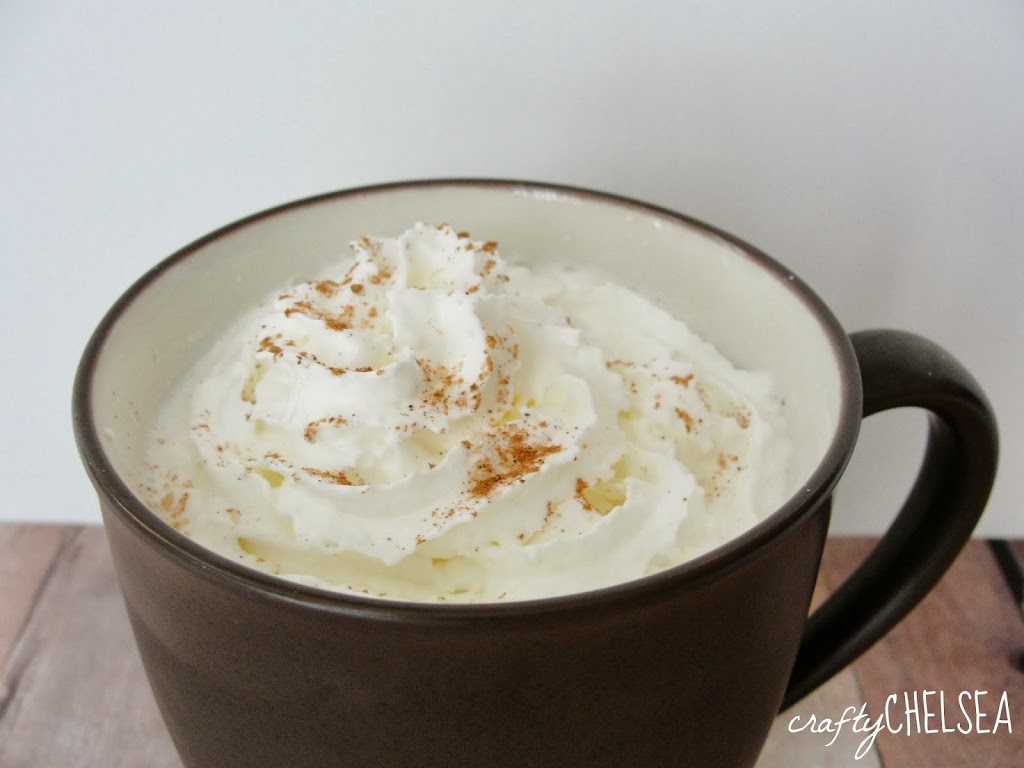 2 Ingredient Hot Pumpkin Spice Steamer: A delicious fall drink that is easy and warms you right up!