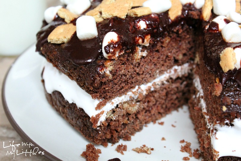 S'mores Cake: Moist chocolate cake, gooey, melty marshmallows, crumbled graham crackers, and a drizzle of chocolate. It's the perfect summer dessert!