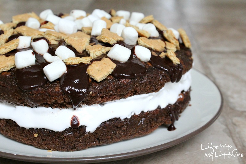 S'mores Cake: Moist chocolate cake, gooey, melty marshmallows, crumbled graham crackers, and a drizzle of chocolate. It's the perfect summer dessert!