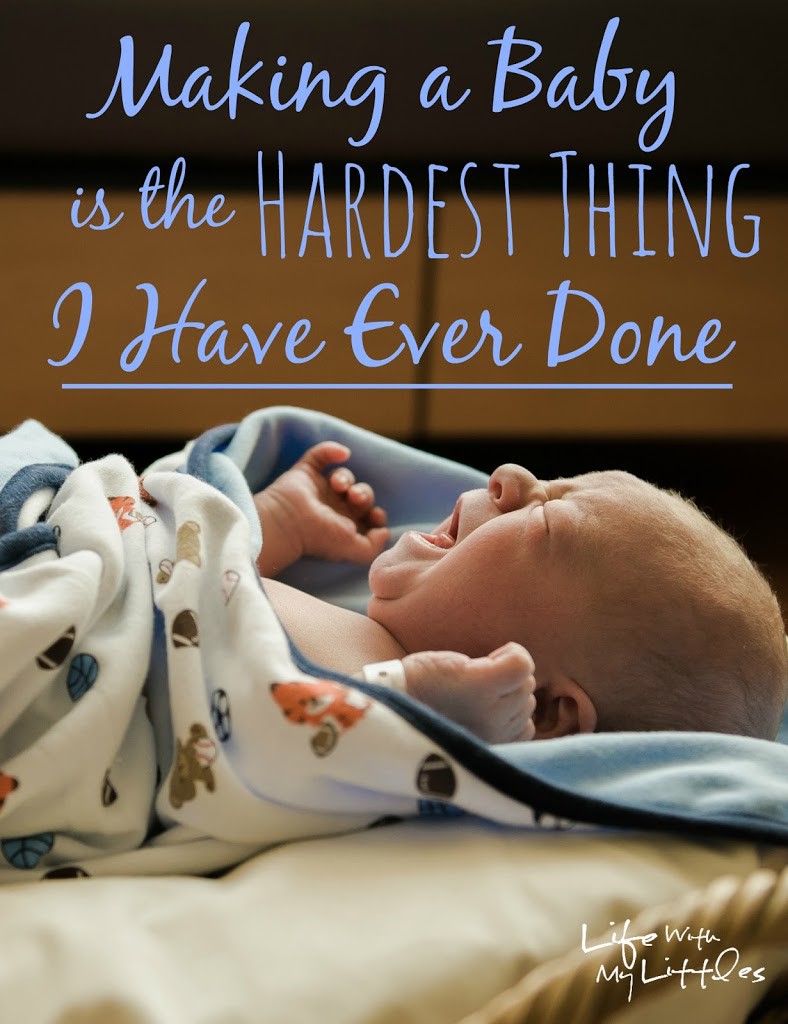 Making a Baby is the Hardest Thing I Have Ever Done: Our struggle with infertility and why you should never give up hope