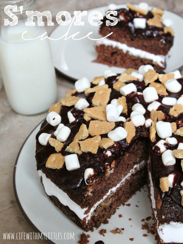 S'mores Cake: Moist chocolate cake, gooey, melty marshmallows, crumbled graham crackers, and a drizzle of chocolate. It's the perfect summer dessert!