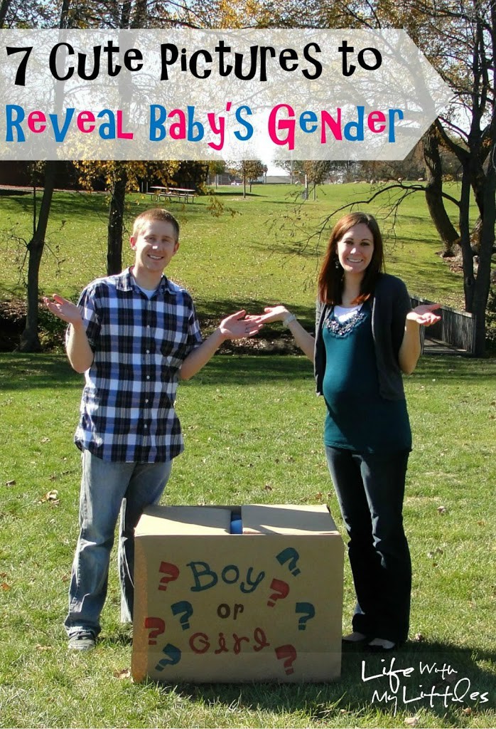 7 Cute Pictures to Reveal Baby's Gender: Easy, cute, and simple picture ideas to reveal if you are having a boy or girl!