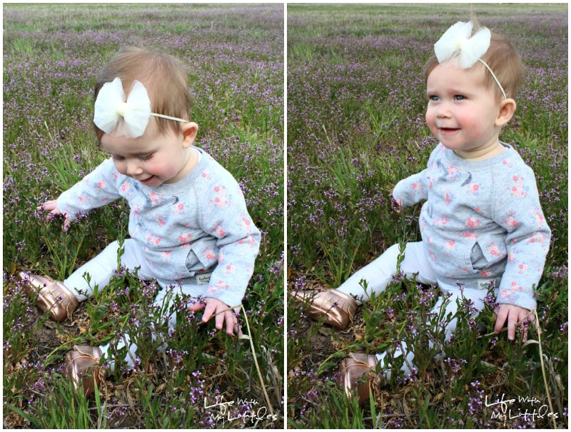 little-a-freshly-picked