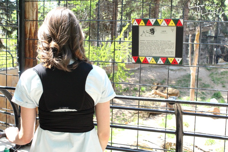 How to enjoy a day at the zoo. Tips on what to bring to the zoo with little kids to make it the best, featuring #JJColeStyle!