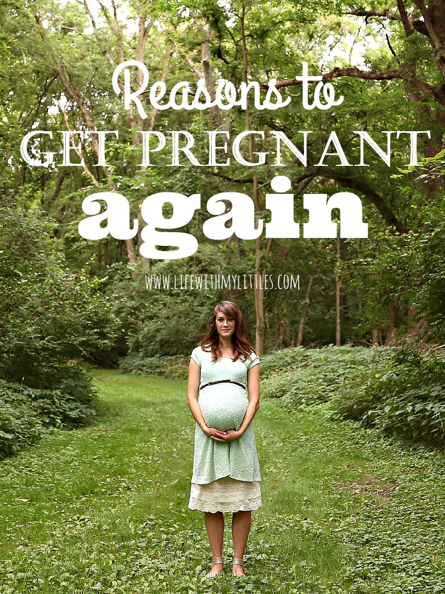 Reasons to Get Pregnant Again - Life With My Littles