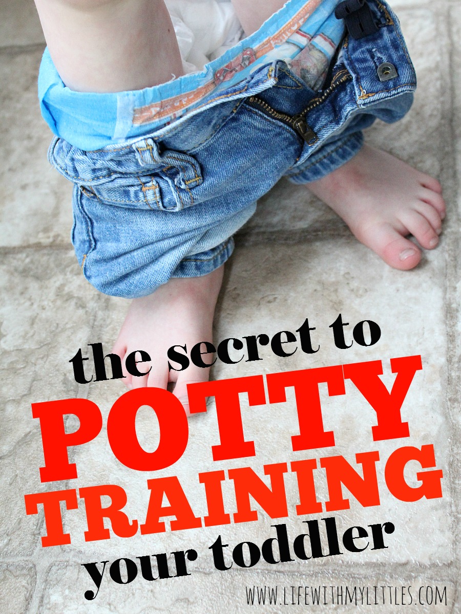 Want to know the real secret to potty training your toddler? It's a lot easier than you might think! Read all about it here.