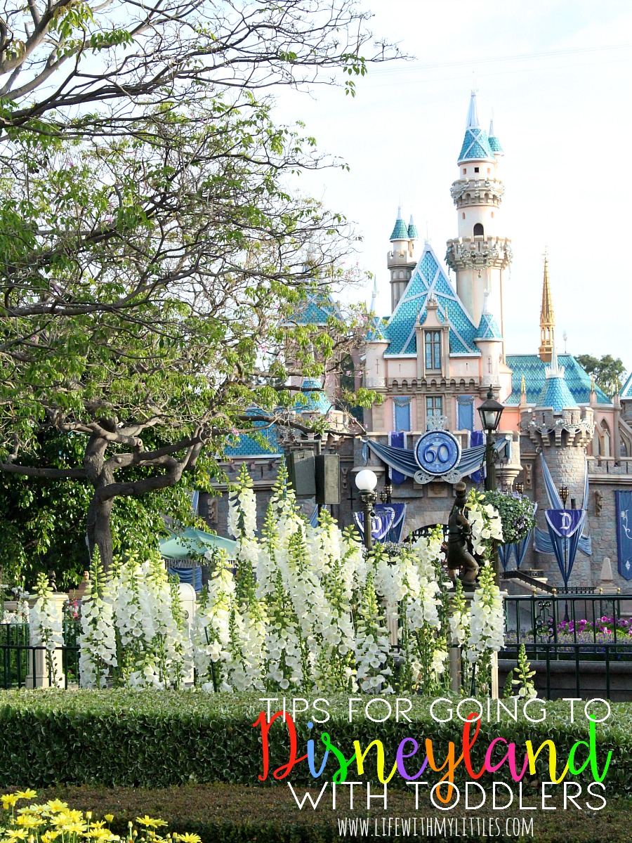 28 Tips for Going to Disneyland with Toddlers