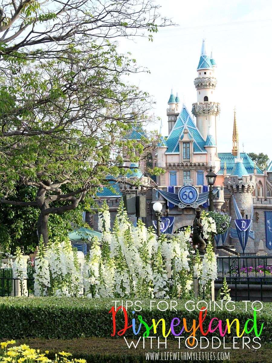 28 tips for going to Disneyland with toddlers. These are such amazing, helpful tips! I never would have thought of half of these! These are great ways to have fun with toddlers at Disneyland!