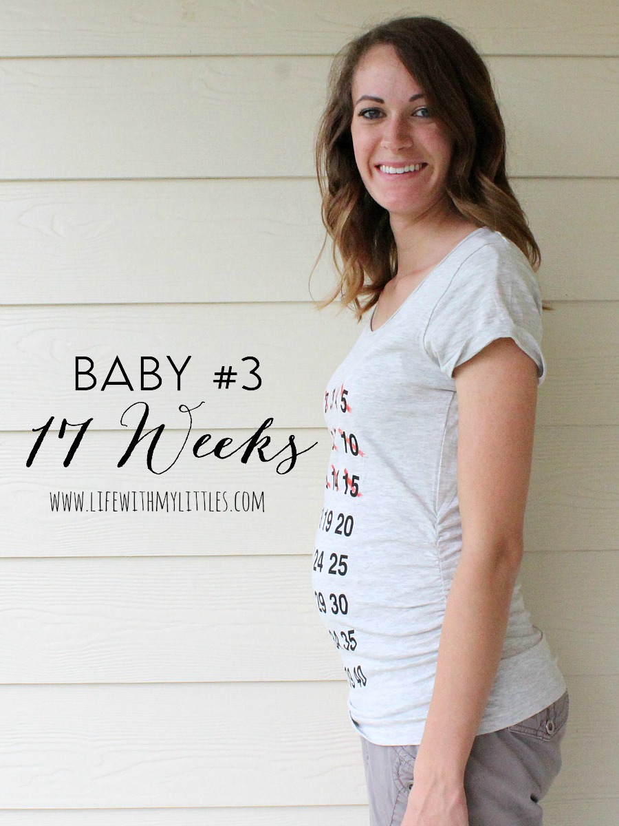 Baby #3 Pregnancy Update: 17 Weeks