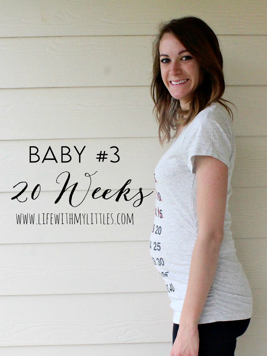 Baby #3 Pregnancy Update: 20 Weeks