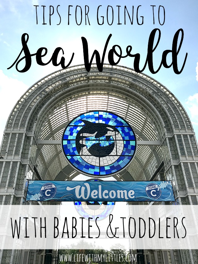 16 Tips for Going to Sea World with a Baby or Toddler