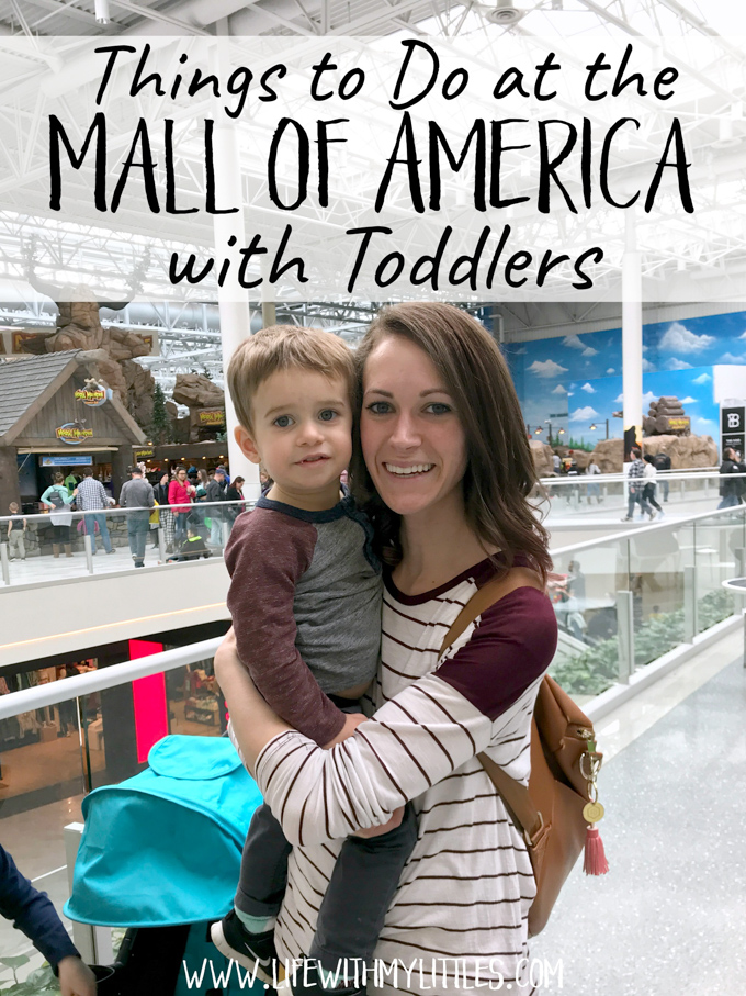 Things to Do at the Mall of America with Toddlers