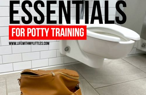 Leaving the house when you're potty training can be scary, but it doesn't have to be when you're prepared! Make sure have these diaper bag essentials for potty training packed, and you won't worry about accidents on-the-go anymore!