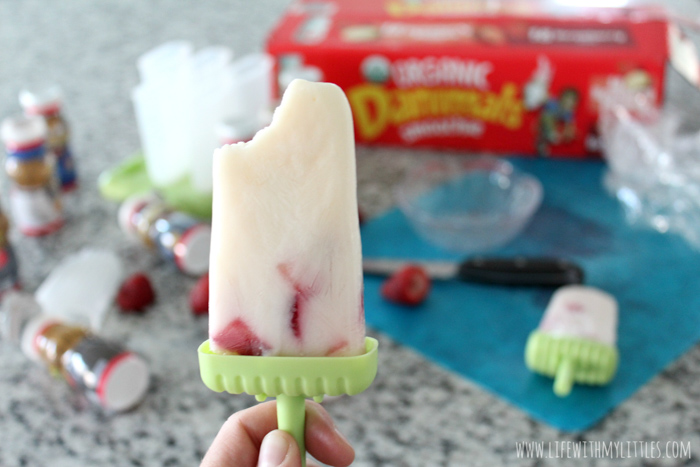 These two-ingredient fruit smoothie popsicles are so easy to make! Even kids can try out this simple recipe. Just grab some Danimals® and some fresh strawberries, and you've got everything you need to make a delicious frozen treat!