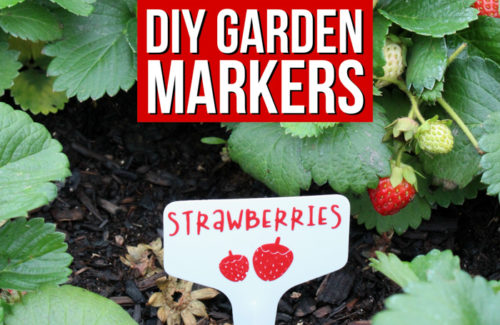 These DIY Garden Markers are the perfect way to mark fruits and vegetables in your garden! Permanent vinyl and plastic garden tags combine to make durable, long-lasting markers! 32 different fruits and vegetables included in the cut file, and you can customize the color, size, and which ones to cut with your cutting machine!