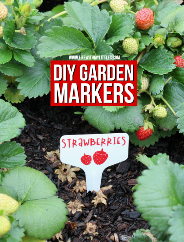 DIY Garden Markers