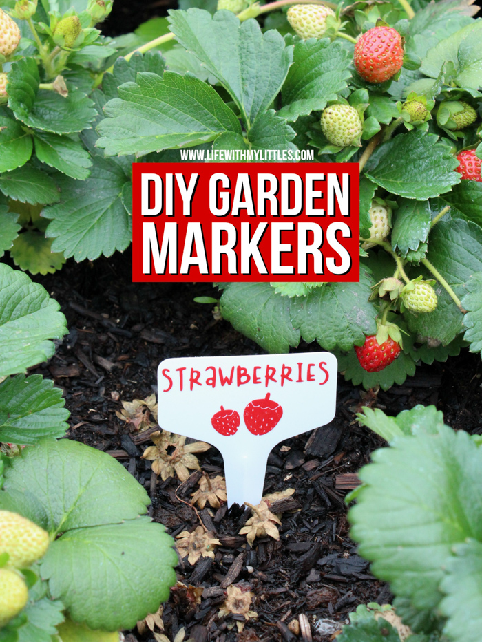 These DIY Garden Markers are the perfect way to mark fruits and vegetables in your garden! Permanent vinyl and plastic garden tags combine to make durable, long-lasting markers! 32 different fruits and vegetables included in the cut file, and you can customize the color, size, and which ones to cut with your cutting machine!