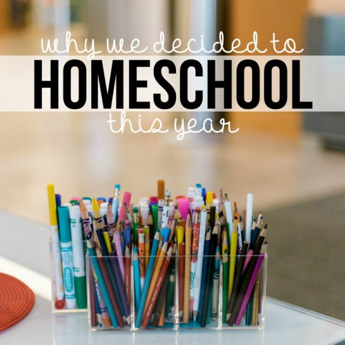 Deciding what to do about school this year has been a tough choice that many parents have struggled with. Here's why we decided to homeschool this year.