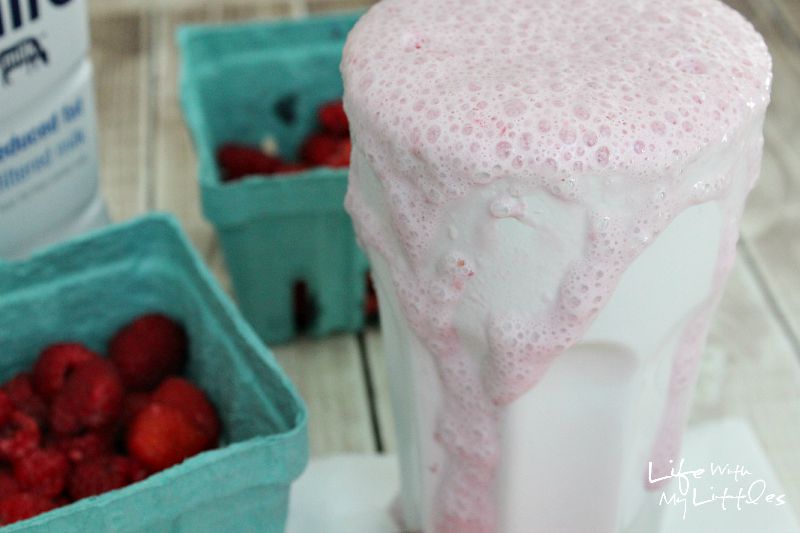 Fresh Raspberry Milkshake